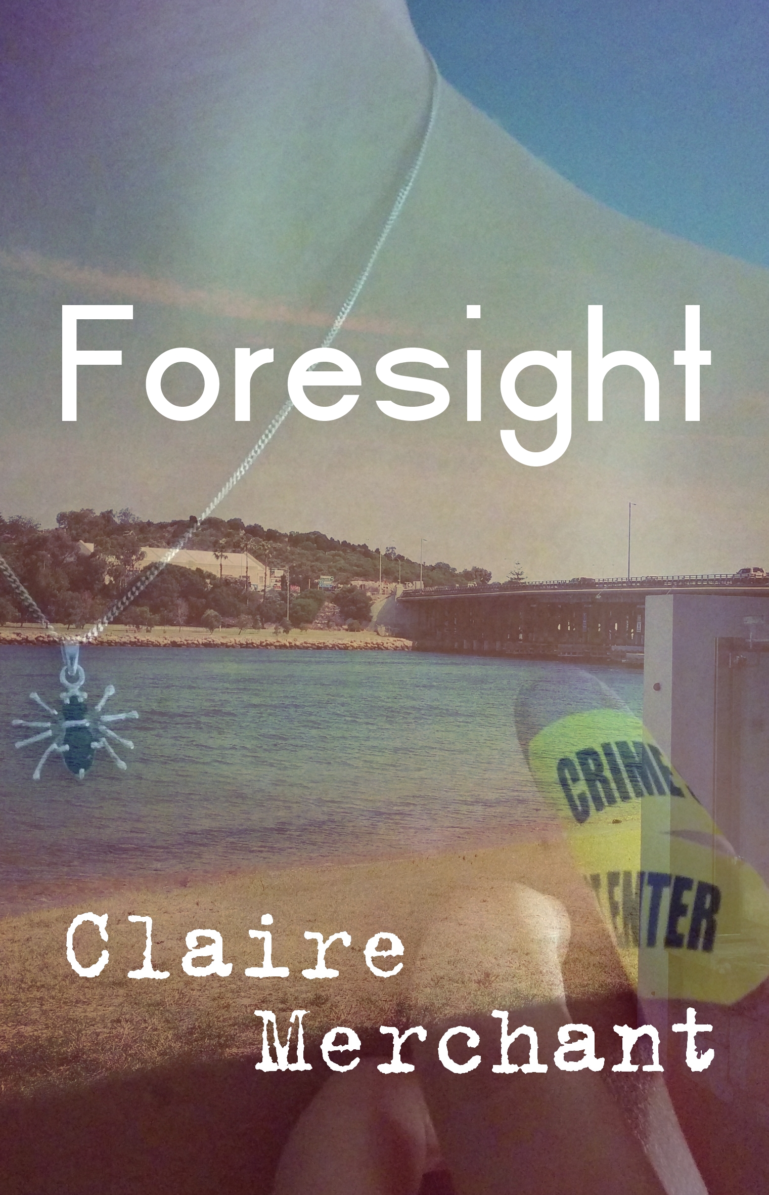 Foresight - New Cover Concept13 paperback