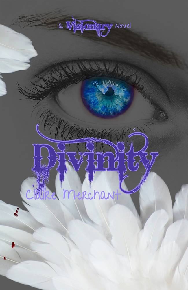 18. Divinity - A Visionary Novel - Cover Final