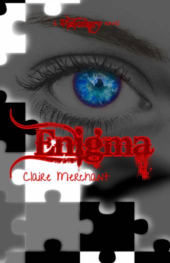 19. Enigma - A Visionary Novel - Cover Final