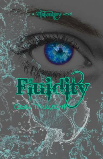 20. Fluidity - A Visionary Novel - Cover Final