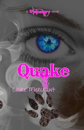 21. Quake - A Visionary Novel - Cover Final